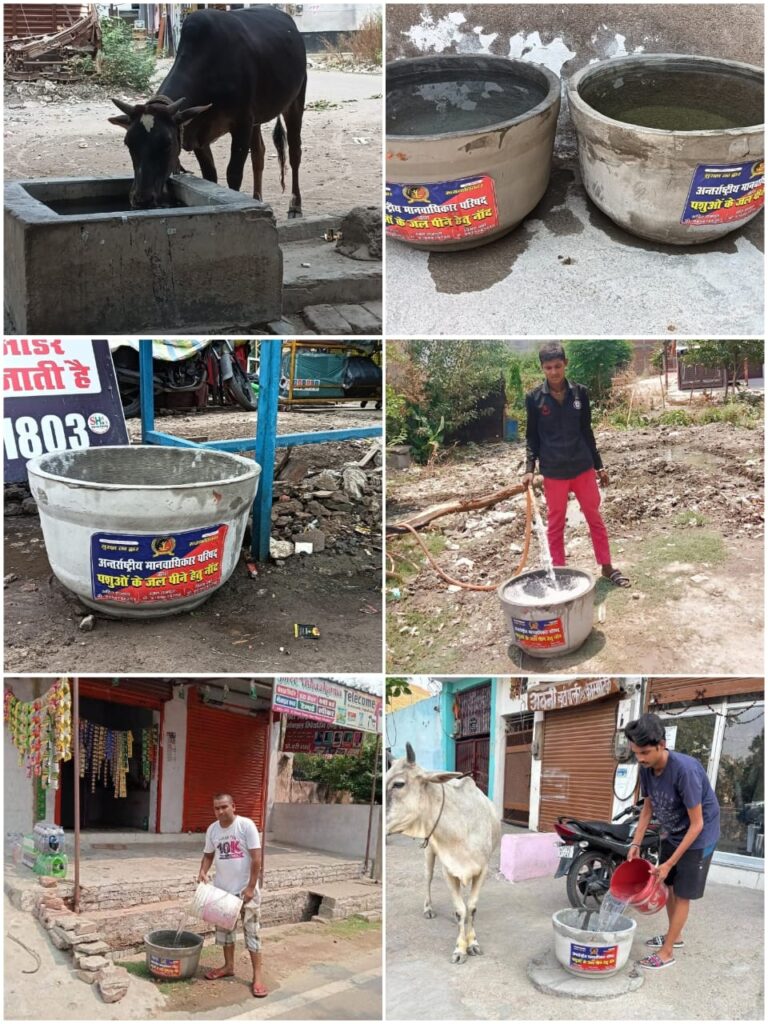 WhatsApp Image 2025-07-04 at 2.47.05 AM